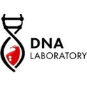 Dna Lab